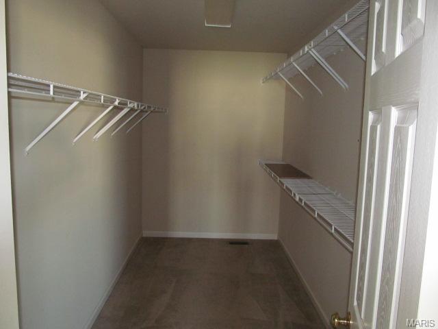 11 Rivercity Pass, O'fallon, MO 63366 photo 14