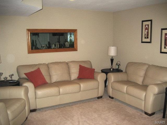 24 Mallard Pointe, O'fallon, MO 63368 photo 19