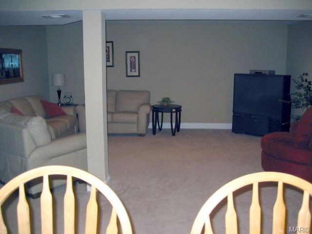 24 Mallard Pointe, O'fallon, MO 63368 photo 28