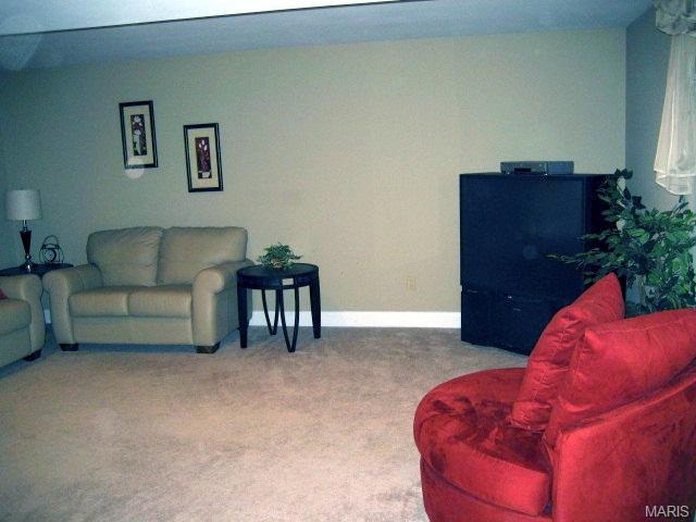24 Mallard Pointe, O'fallon, MO 63368 photo 35