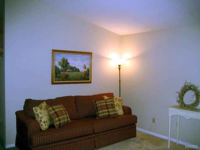 24 Mallard Pointe, O'fallon, MO 63368 photo 43