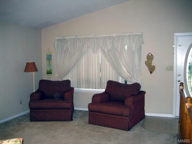 24 Mallard Pointe, O'fallon, MO 63368 photo 5
