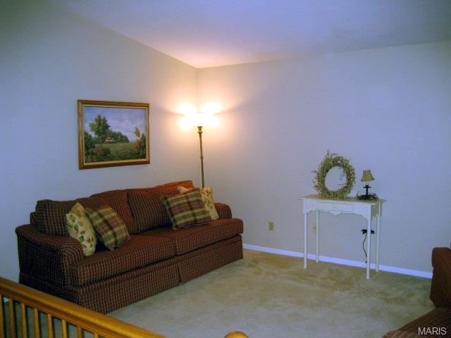 24 Mallard Pointe, O'fallon, MO 63368 photo 6