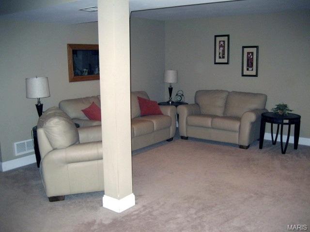 24 Mallard Pointe, O'fallon, MO 63368 photo 31