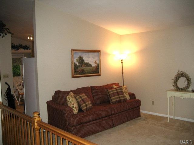 24 Mallard Pointe, O'fallon, MO 63368 photo 42