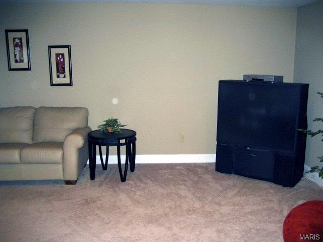 24 Mallard Pointe, O'fallon, MO 63368 photo 34