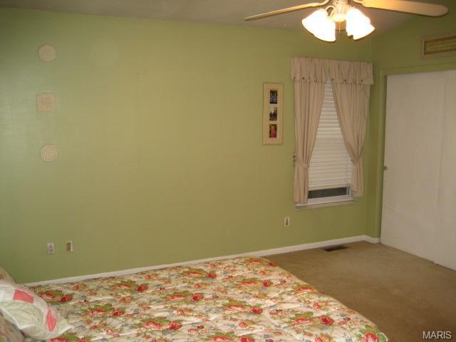 24 Mallard Pointe, O'fallon, MO 63368 photo 38