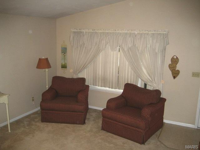 24 Mallard Pointe, O'fallon, MO 63368 photo 40