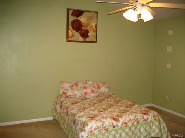 24 Mallard Pointe, O'fallon, MO 63368 photo 37