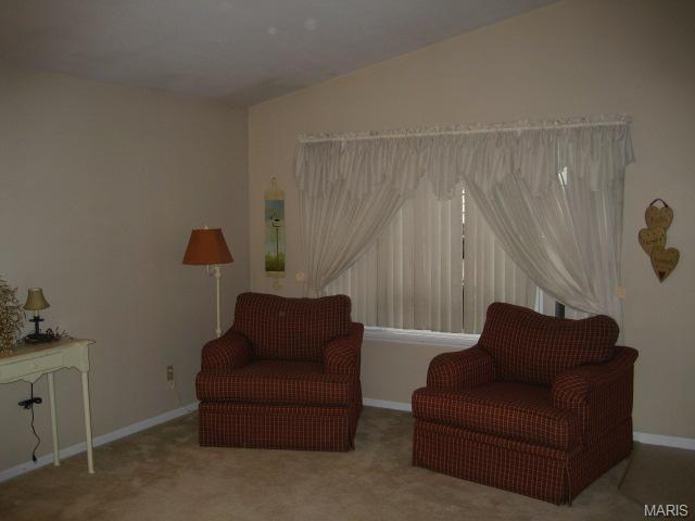 24 Mallard Pointe, O'fallon, MO 63368 photo 41