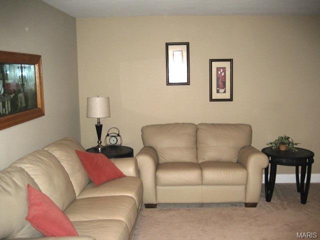 24 Mallard Pointe, O'fallon, MO 63368 photo 20