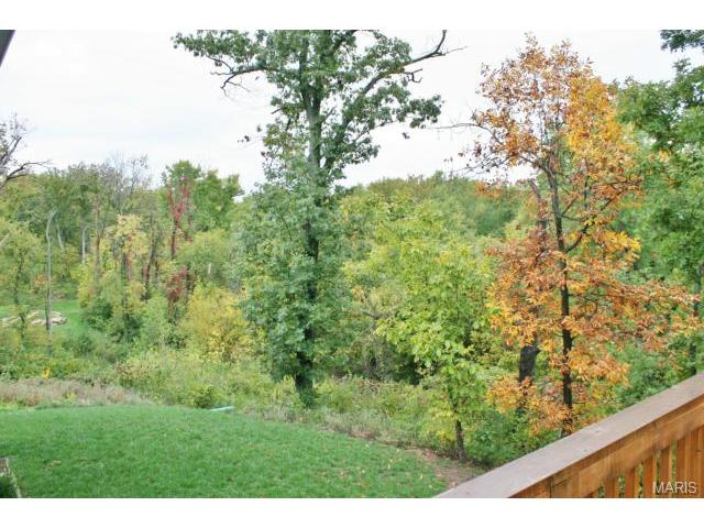 420 Bittersweet Dr, O'fallon, MO 63366 photo 18