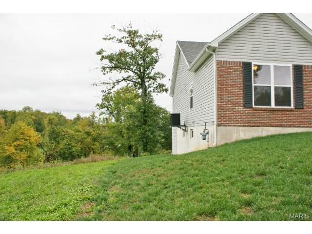 420 Bittersweet Dr, O'fallon, MO 63366 photo 24