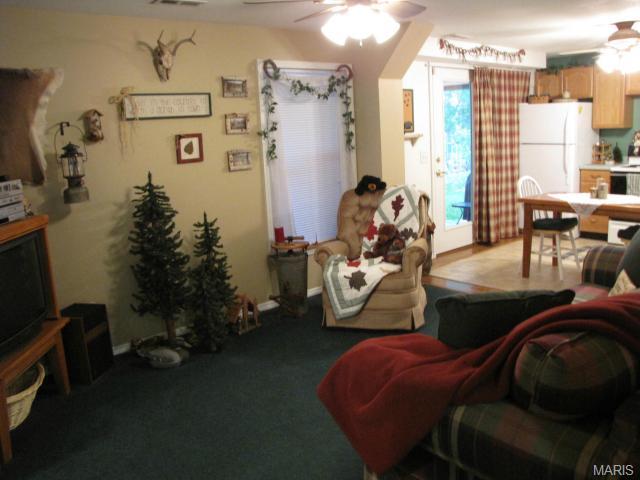 876 Molloy Dr, O'fallon, MO 63366 photo 22