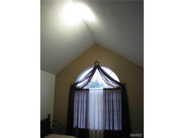 876 Molloy Dr, O'fallon, MO 63366 photo 16