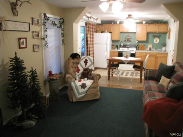 876 Molloy Dr, O'fallon, MO 63366 photo 24
