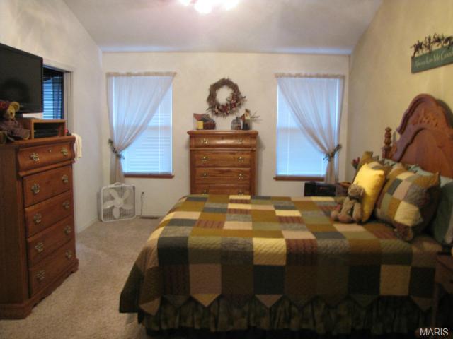 876 Molloy Dr, O'fallon, MO 63366 photo 17