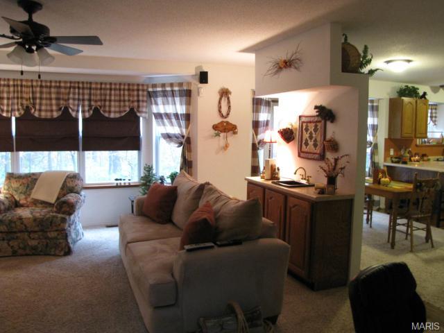876 Molloy Dr, O'fallon, MO 63366 photo 6