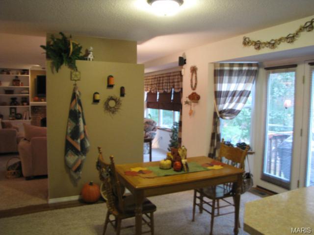 876 Molloy Dr, O'fallon, MO 63366 photo 8