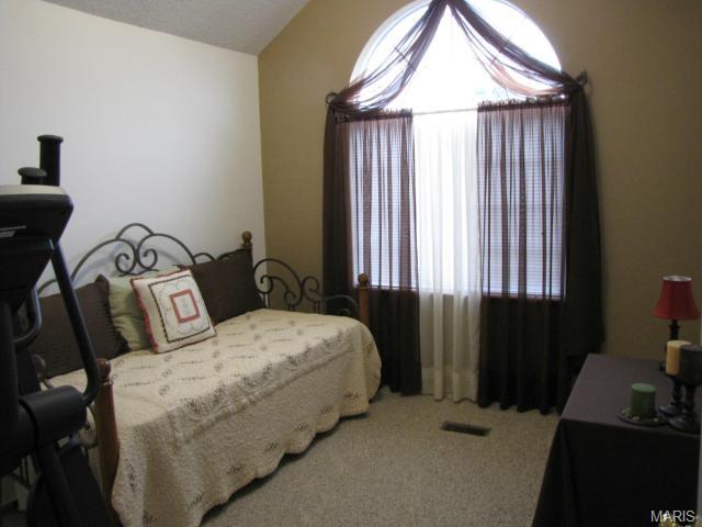 876 Molloy Dr, O'fallon, MO 63366 photo 14