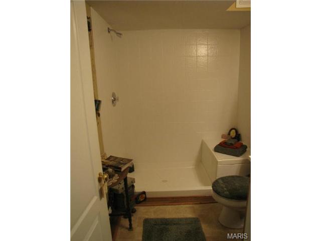 876 Molloy Dr, O'fallon, MO 63366 photo 26