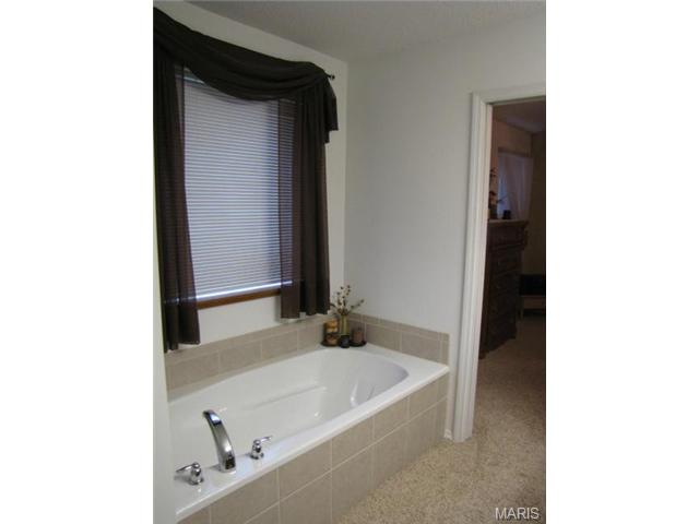 876 Molloy Dr, O'fallon, MO 63366 photo 21