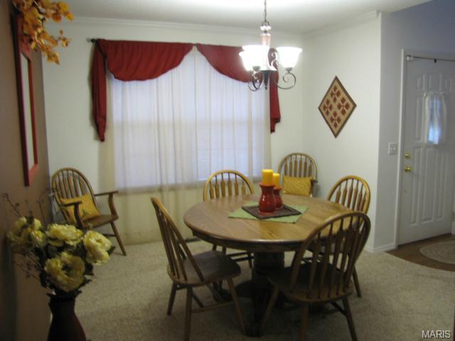 876 Molloy Dr, O'fallon, MO 63366 photo 11