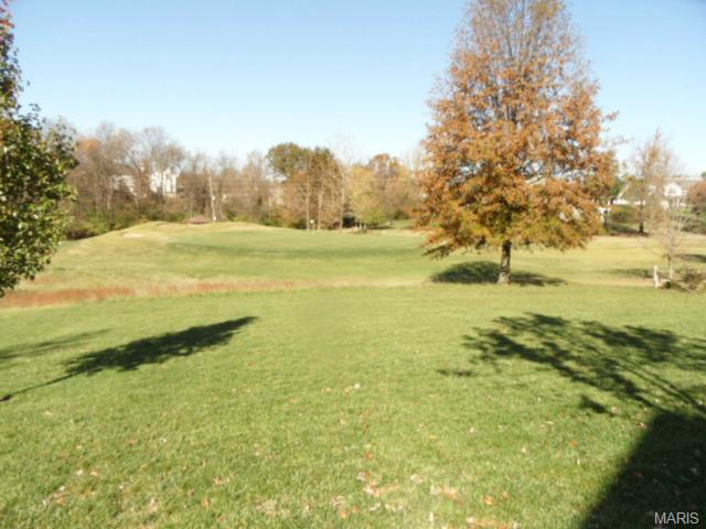 82 Gillette Field Close, Weldon Spring, MO 63304 photo 31