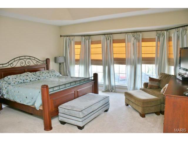 107 Fox Haven Dr, O'fallon, MO 63368 photo 16