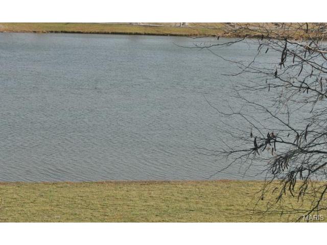 107 Fox Haven Dr, O'fallon, MO 63368 photo 27