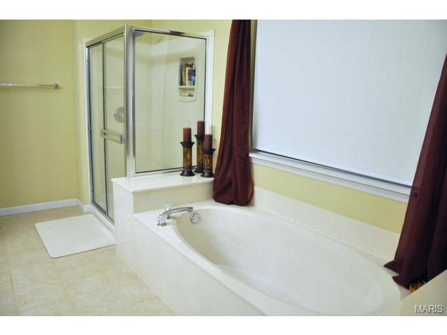 83 Moss Glen Ct, O'fallon, MO 63368 photo 31