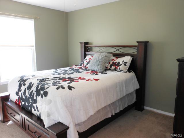 211 Tyndale Dr, O'fallon, MO 63366 photo 49