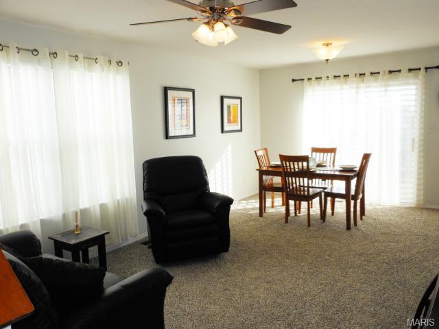 211 Tyndale Dr, O'fallon, MO 63366 photo 30