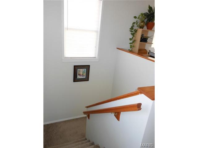 211 Tyndale Dr, O'fallon, MO 63366 photo 53