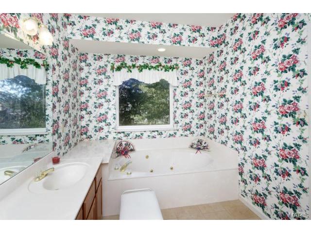 254 Cedar Forest Ct, Weldon Spring, MO 63304 photo 11