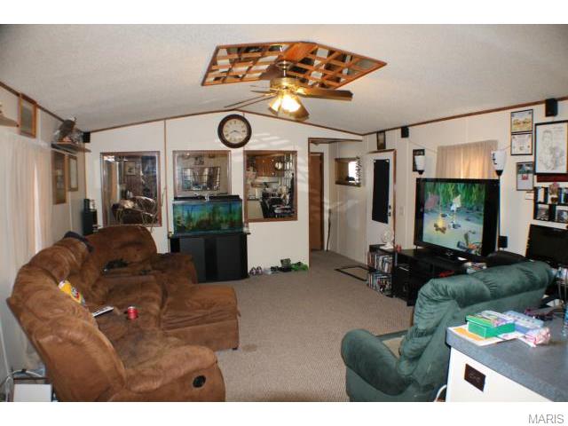 21876 Lamp Ln, St Robert, MO 69558 photo 2