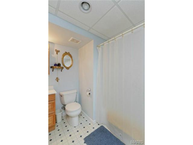 1144 Danielle Elizabeth, O'fallon, MO 63366 photo 25