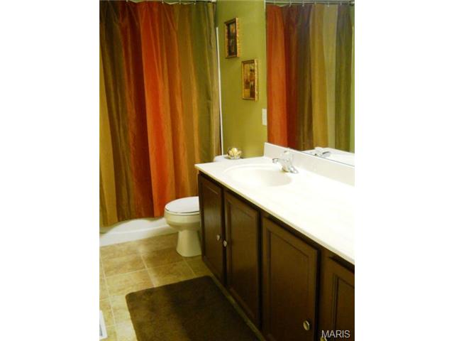 329 Briarchase Cir, Lake Saint Louis, MO 63367 photo 22
