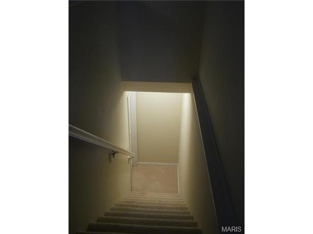 329 Briarchase Cir, Lake Saint Louis, MO 63367 photo 10