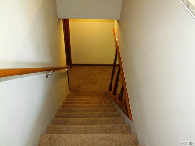 1374 Trading Post Ln, O'fallon, MO 63366 photo 19