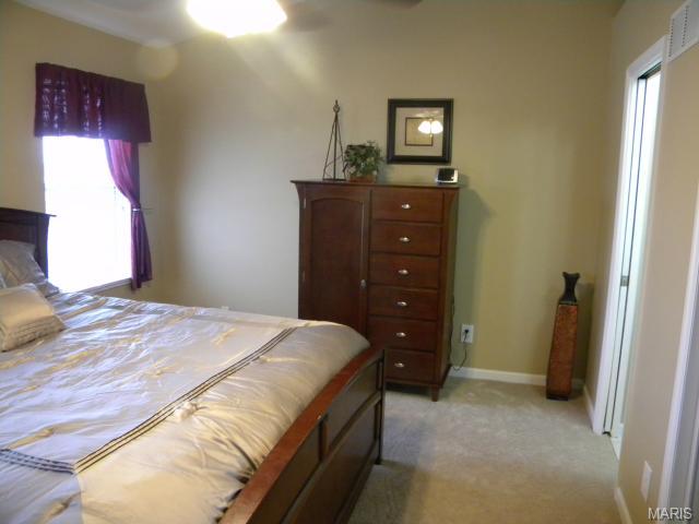 2618 Black Cherry Dr, O'fallon, MO 63368 photo 6
