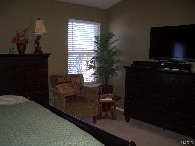 66 Padre Ct, O'fallon, MO 63366 photo 21