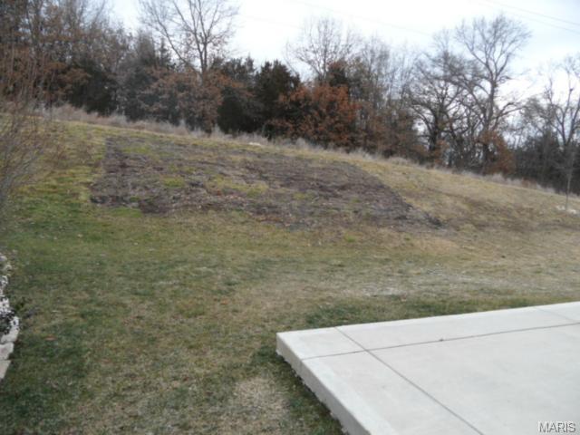 441 Parkgate Dr, O'fallon, MO 63367 photo 6