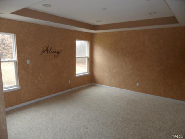 441 Parkgate Dr, O'fallon, MO 63367 photo 11