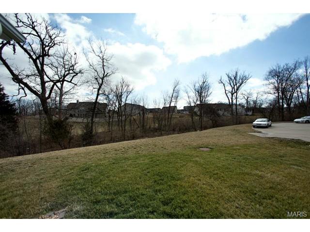 469 Chatham Dr, O'fallon, MO 63366 photo 21