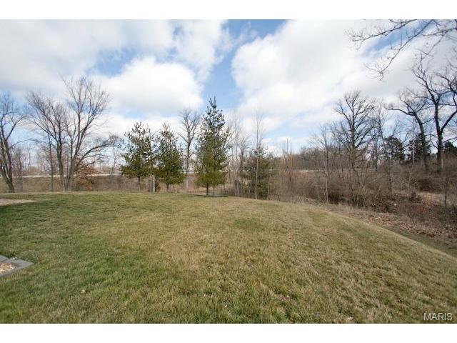 469 Chatham Dr, O'fallon, MO 63366 photo 19