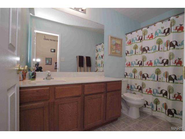 41 Spring Borough Ct, O'fallon, MO 63368 photo 14