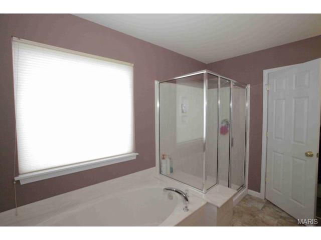 41 Spring Borough Ct, O'fallon, MO 63368 photo 10
