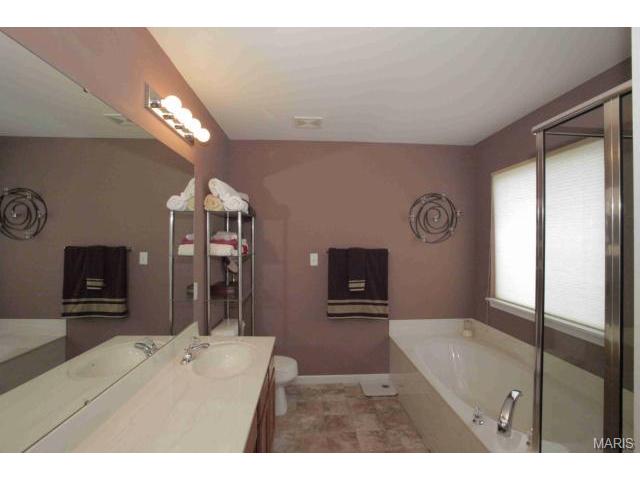 41 Spring Borough Ct, O'fallon, MO 63368 photo 9