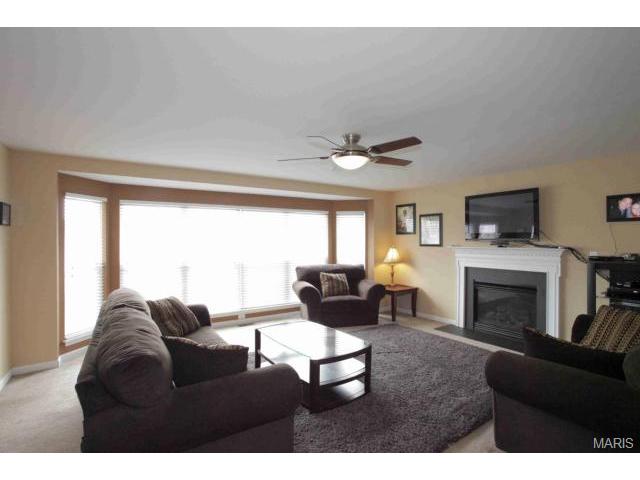 41 Spring Borough Ct, O'fallon, MO 63368 photo 3